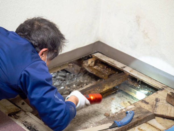 Best Mold Remediation for Specific Building Types in Eagle Lake, FL