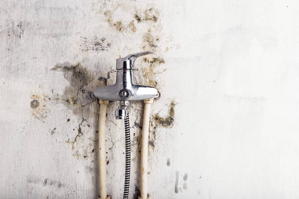 Best Commercial Mold Remediation in Eagle Lake, FL