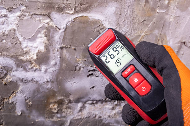 Best Mold Testing and Inspection Services in Eagle Lake, FL